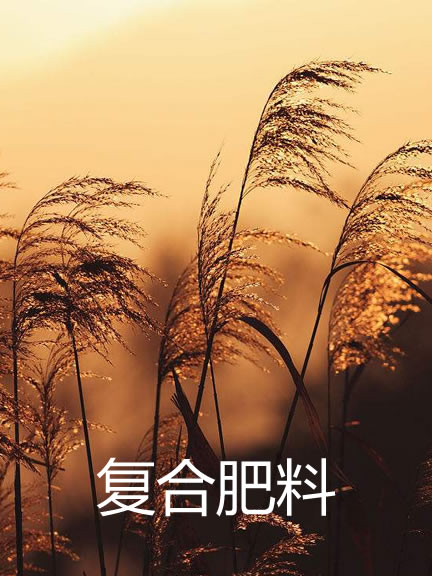 product-how-to-enjoy