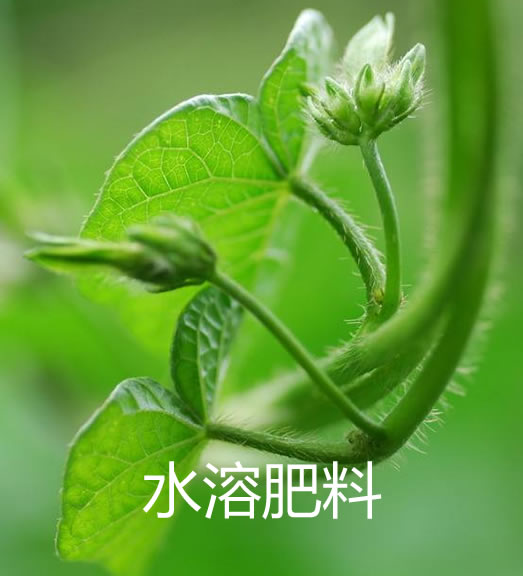 overlay-tile-products