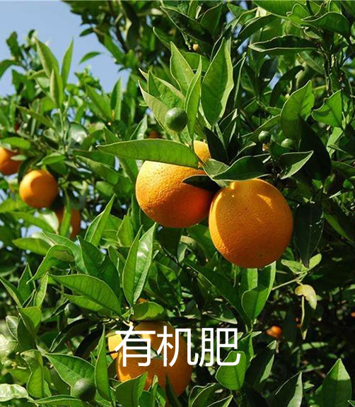 overlay-tile-products