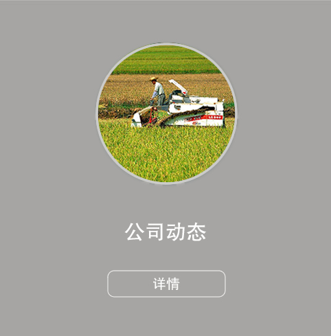 公司动态